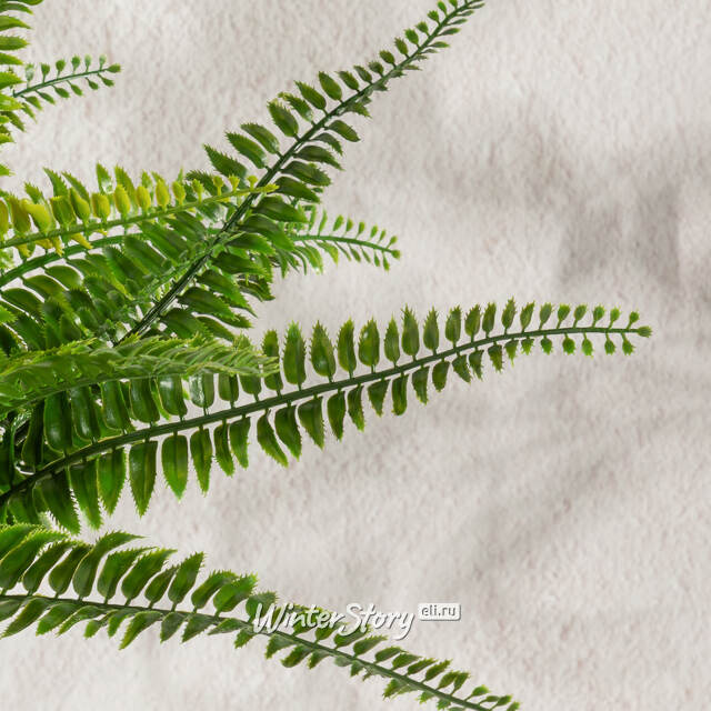 Искусственный цветок в горшке Папоротник - Malmesbury 43 см Summer Deco