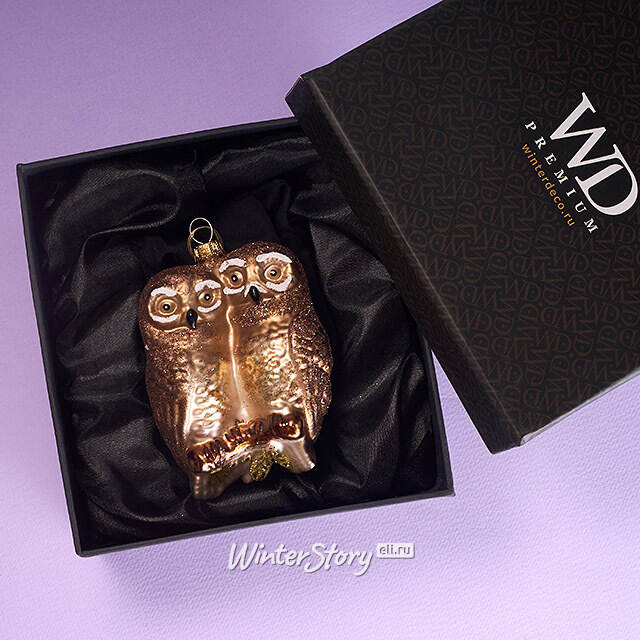 Елочная игрушка Полярные Совы на ветке 10 см в подарочной коробке, стекло Winter Deco