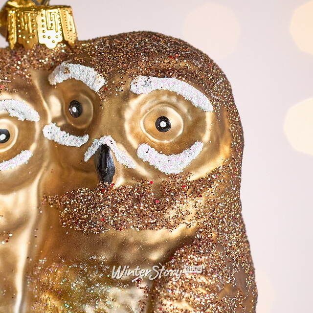 Елочная игрушка Полярные Совы на ветке 10 см в подарочной коробке, стекло Winter Deco