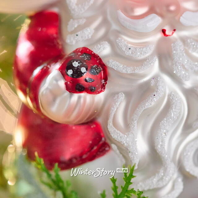 Елочная игрушка Гриб - Волшебник из леса Донмур 12 см в подарочной коробке, стекло Winter Deco