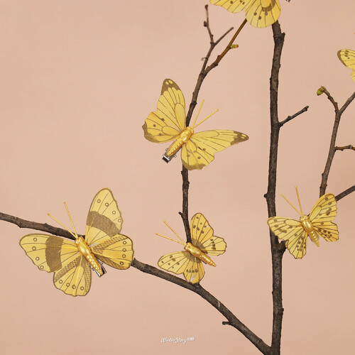 Набор декоративных украшений Gold Butterfly, 10 шт, клипса Kaemingk