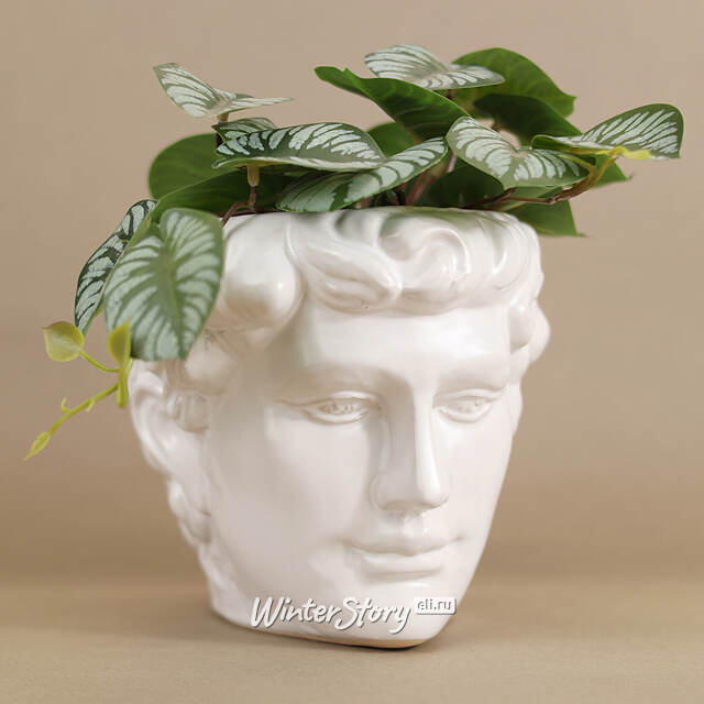 Декоративное кашпо Голова Давида 18*16 см Kaemingk