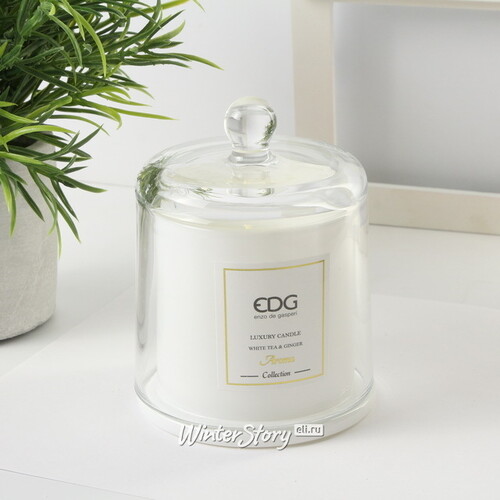 Ароматическая свеча Quasco: White Tea&Ginger  12 см EDG