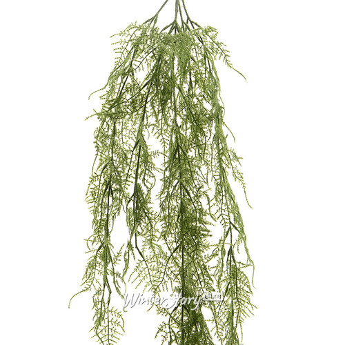 Декоративная ветка-лиана Аспарагус зеленая 110 см Kaemingk
