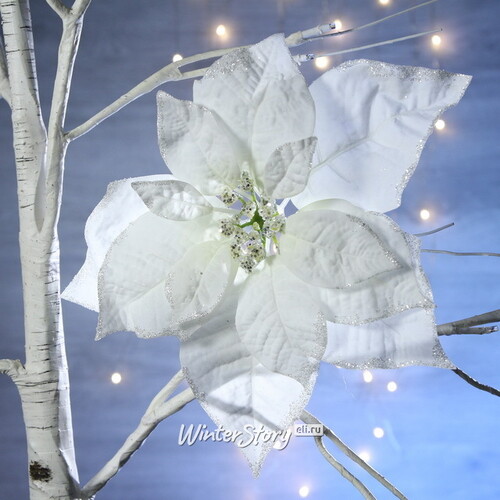 Пуансеттия Шёлковый Ветер 24 см белая, клипса Kaemingk