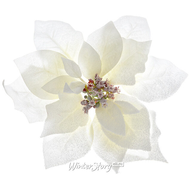 Пуансеттия Императорская 24 см белоснежная, клипса Kaemingk