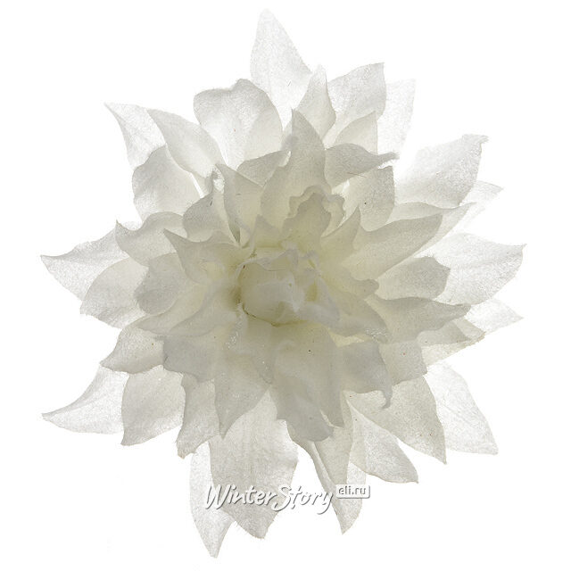 Георгин в Инее 20 см белый, клипса Kaemingk