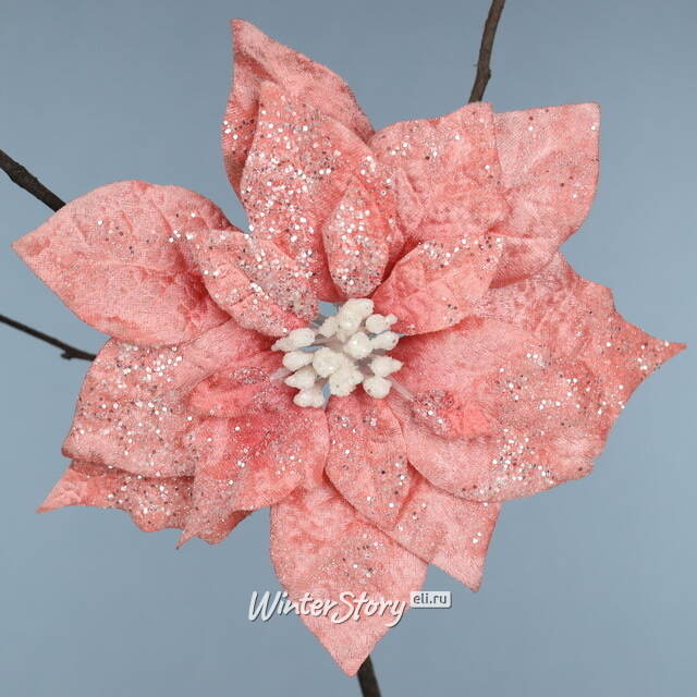 Пуансеттия Viento Rosa 26 см, клипса Kaemingk (Кейминг)