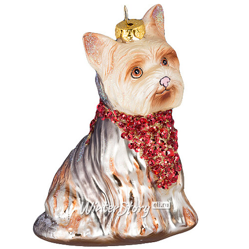 Елочная игрушка Собачка Йорк в Красном Шарфе 10 см, стекло, подвеска Holiday Classics