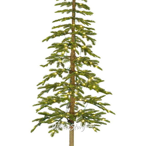 Искусственная елка на ножке с лампочками Альпийская 240 см, 250 теплых белых LED ламп, ЛИТАЯ 100% Kaemingk