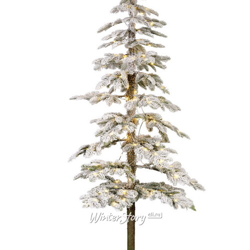 Искусственная елка на ножке с лампочками Альпийская заснеженная 240 см, 250 теплых белых LED ламп, ЛИТАЯ 100% Kaemingk
