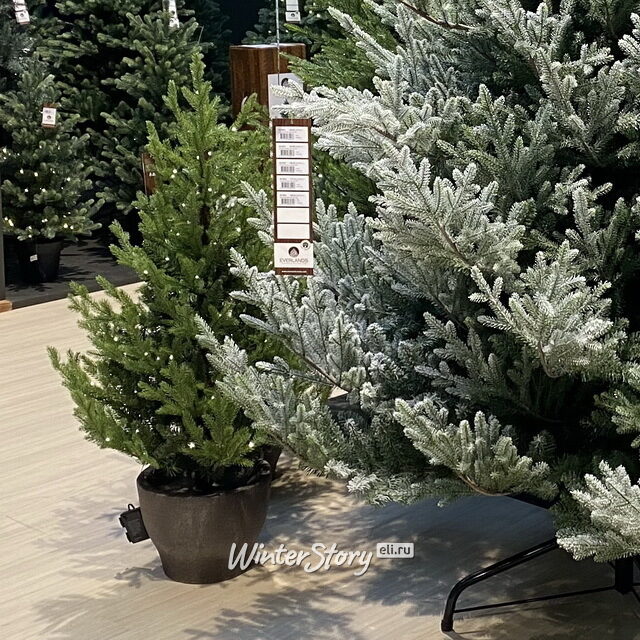 Искусственная елка с лампочками Norway 120 см в кашпо, 80 теплых белых ламп на батарейках, контроллер, ЛИТАЯ + ПВХ, IP44 Kaemingk