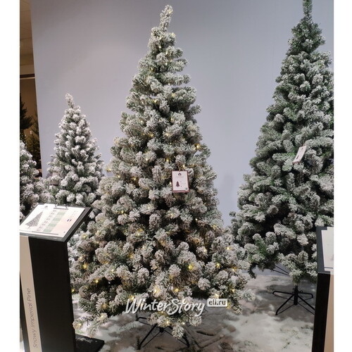 Искусственная елка с гирляндой Империал заснеженная 210 см, 380 теплых белых LED ламп, ПВХ Kaemingk