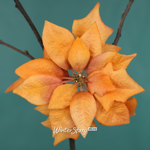 Искусственная пуансеттия Остилия 16 см светло-оранжевая EDG