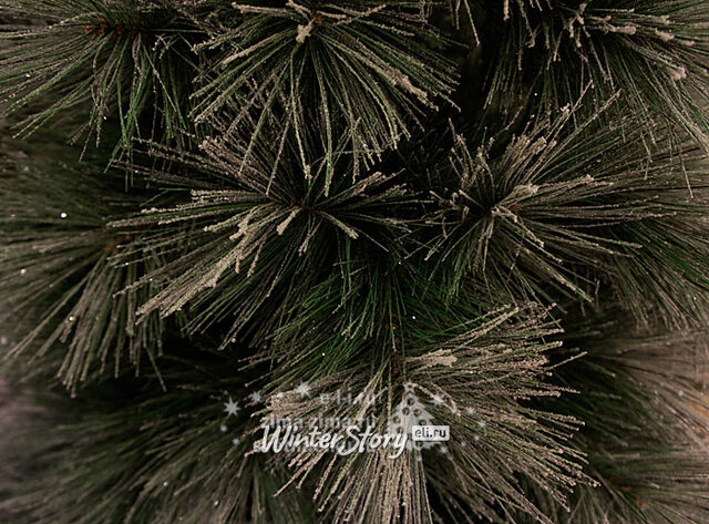 Искусственный Кедр заснеженный 210 см, ЛЕСКА, уцененный Kaemingk