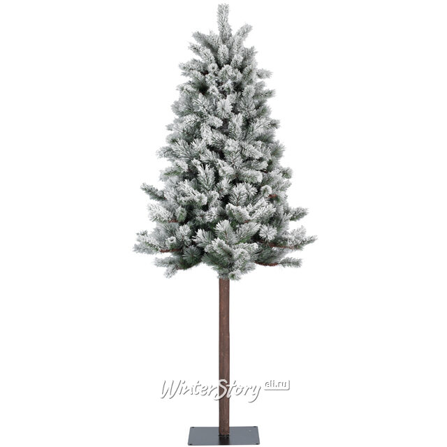 Искусственная елка Монтана заснеженная 180 см с натуральным стволом, ЛЕСКА + ПВХ Kaemingk