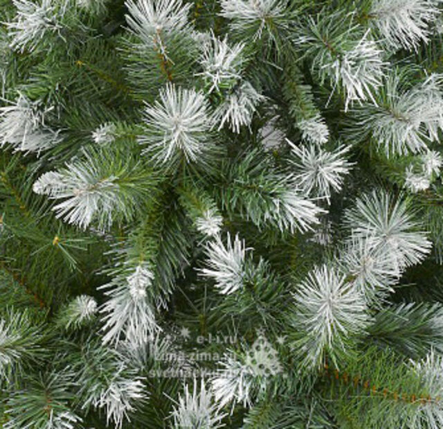 Искусственная елка Вирджиния заснеженная 180 см, ЛЕСКА + ПВХ Kaemingk