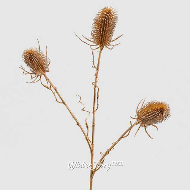 Искусственная ветка Эрингиум - Golden Concetto 69 см EDG