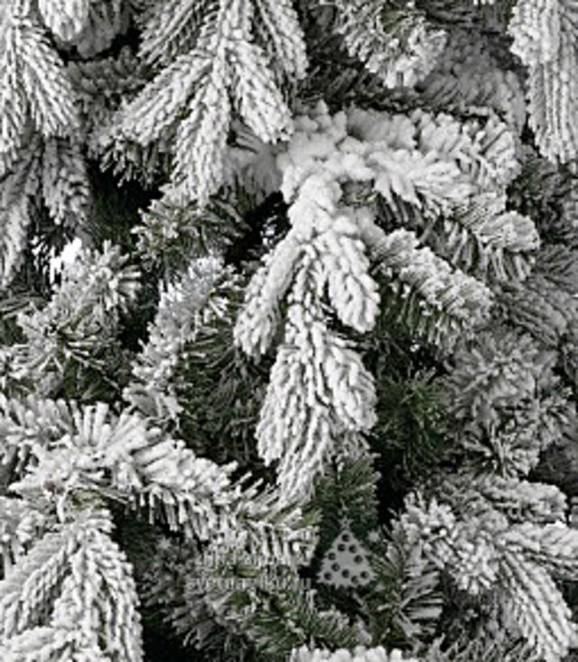 Искусственная елка Аспен заснеженная 180 см, ЛИТАЯ + ПВХ Kaemingk