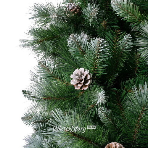 Искусственная елка Норвежская с шишками заснеженная 180 см, ЛЕСКА + ПВХ Kaemingk