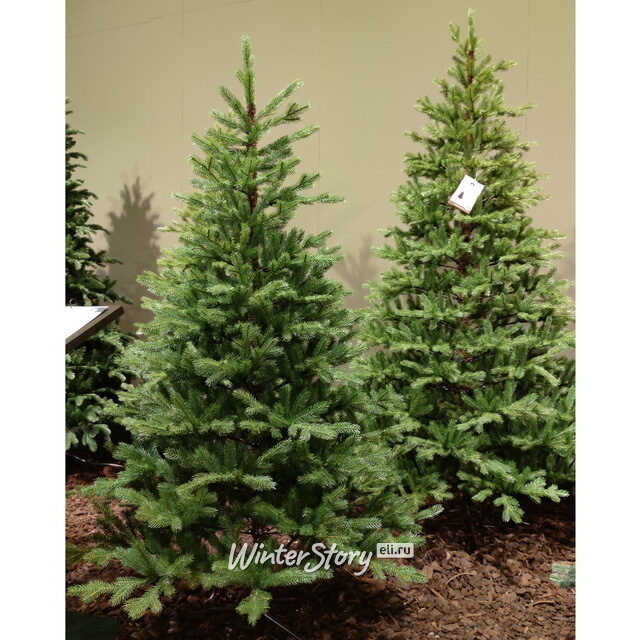 Искусственная елка Odense 150 см, ЛИТАЯ 100% Kaemingk