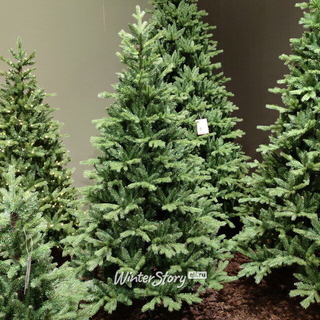 Искусственная елка Аллисон 180 см, ЛИТАЯ + ПВХ Kaemingk