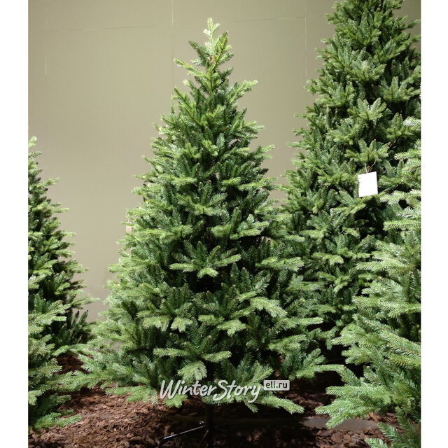 Искусственная елка Аллисон 180 см, ЛИТАЯ + ПВХ Kaemingk