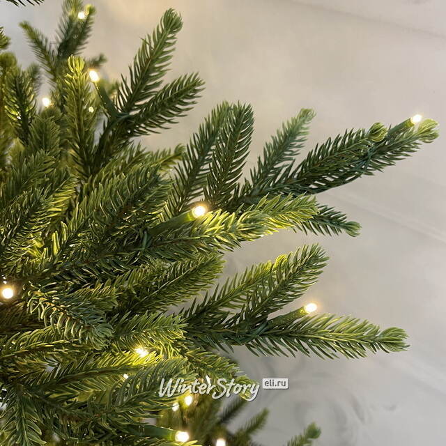 Искусственная елка с лампочками Королевская 230 см, 1200 теплых белых ламп, контроллер, ЛИТАЯ 100% TreeDeLuxe