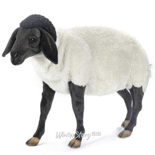 Мягкая игрушка Суффолкская овечка 65 см Hansa Creation