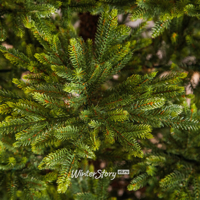 Искусственная елка Королевская Премиум 260 см, ЛИТАЯ 100% Triumph Tree