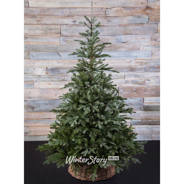 Искусственная елка Хрустальная заснеженная 155 см, ЛИТАЯ + ПВХ Black Box