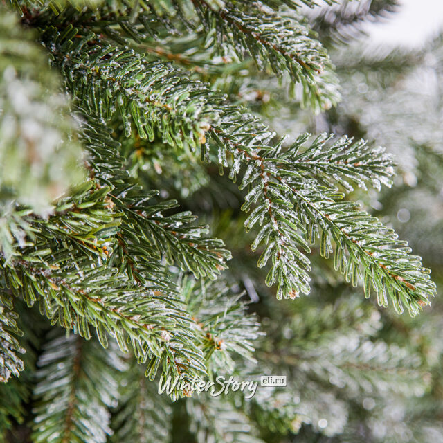 Искусственная елка Хрустальная заснеженная 155 см, ЛИТАЯ + ПВХ Black Box