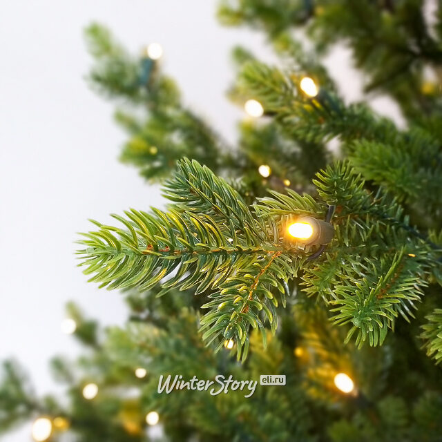 Искусственная елка с огоньками Городская 230 см, 320 теплых белых ламп, ЛИТАЯ 100% Black Box (Блэк Бокс)