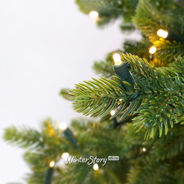 Искусственная елка с огоньками Городская 230 см, 320 теплых белых ламп, ЛИТАЯ 100% Black Box (Блэк Бокс)