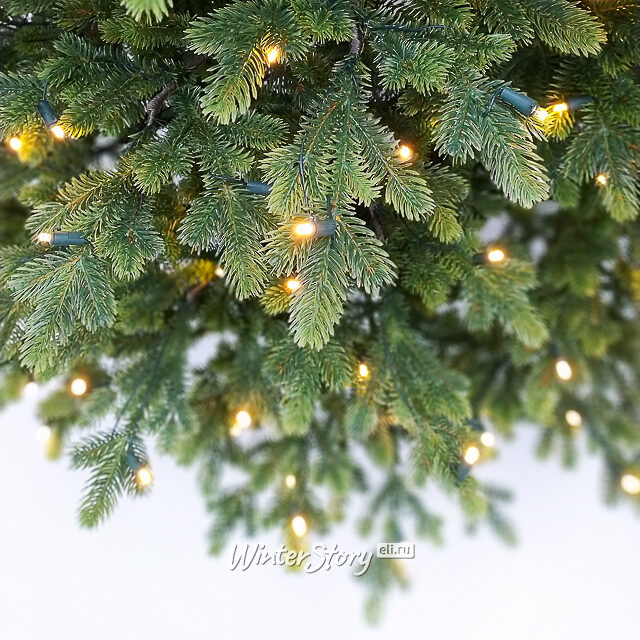 Искусственная елка с огоньками Городская 230 см, 320 теплых белых ламп, ЛИТАЯ 100% Black Box (Блэк Бокс)