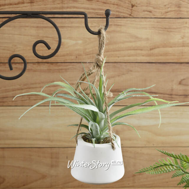 Искусственное растение в кашпо Хавортия 30 см Kaemingk