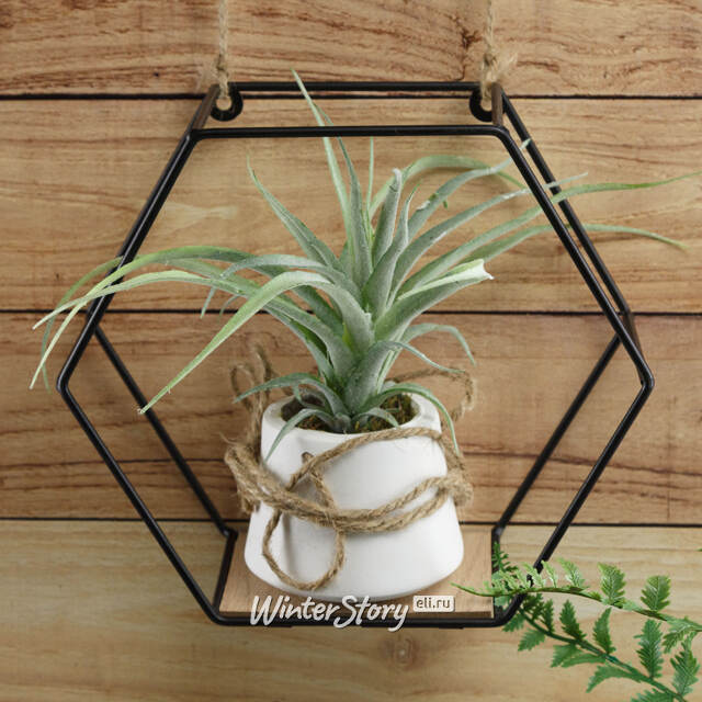 Искусственное растение в кашпо Хавортия 30 см Kaemingk