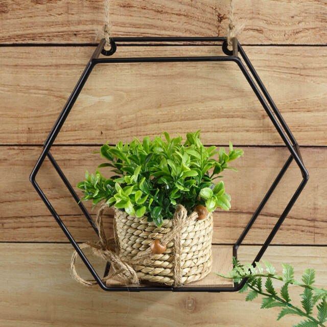 Искусственное растение в кашпо Крассула 12 см Kaemingk