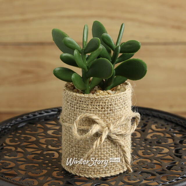 Искусственное растение Крассула Money Tree в джутовом кашпо 12 см Kaemingk