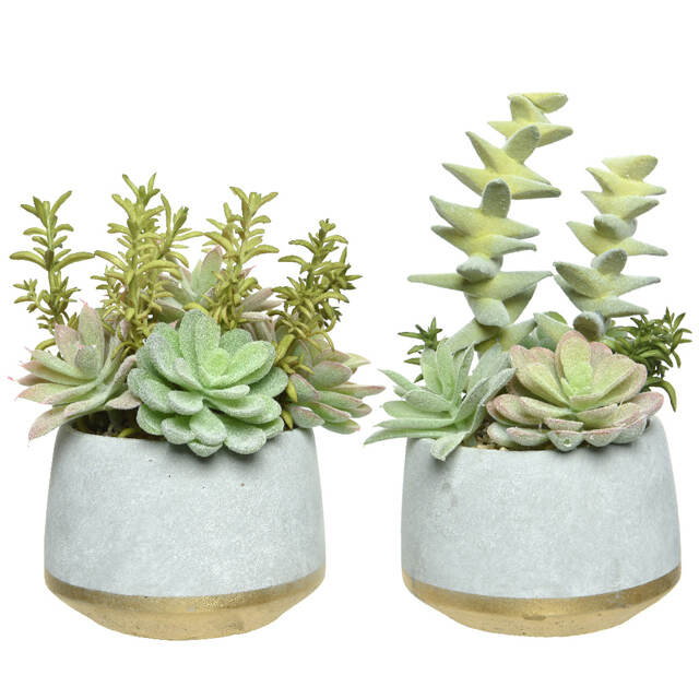 Искусственное растение в горшке Эхеверия Лилицина 22 см Kaemingk