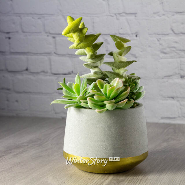 Искусственное растение в горшке Эхеверия Лилицина 22 см Kaemingk