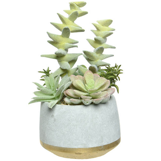 Искусственное растение в горшке Эхеверия Лилицина 22 см Kaemingk