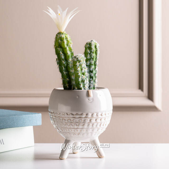 Искусственное растение в горшке Кактус White Pearl 24 см Kaemingk