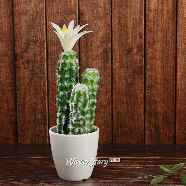 Искусственное растение в горшке Кактус White Pearl 24 см Kaemingk
