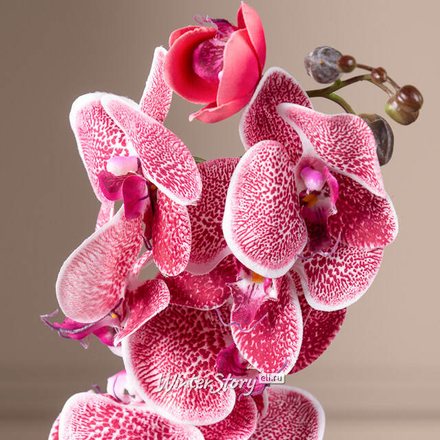 Искусственный цветок Орхидея Aphrodite 77 см Kaemingk