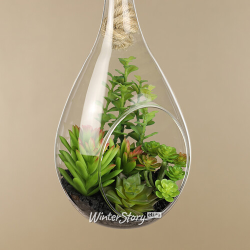 Декоративный подвесной флорариум Morrigan: Седум 24 см Kaemingk