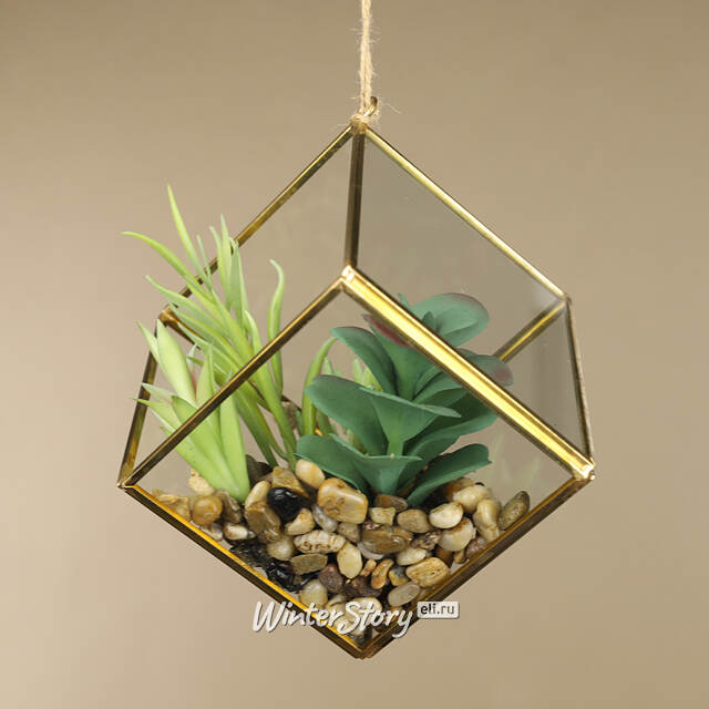 Декоративный подвесной флорариум Суккулент 15 см Kaemingk (Кейминг)
