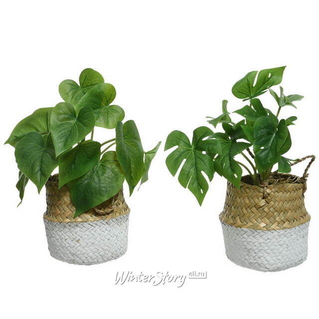 Искусственное растение в горшке Монстера Brunno 26 см Kaemingk