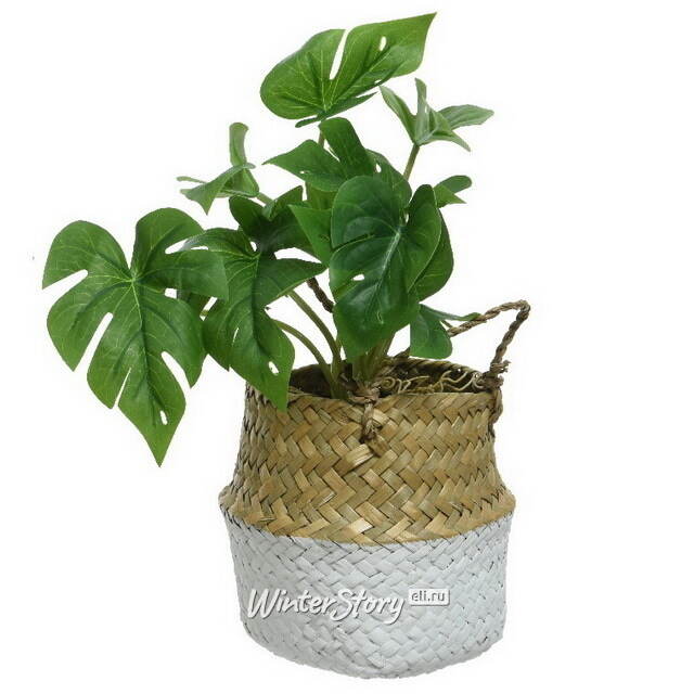 Искусственное растение в горшке Монстера Brunno 26 см Kaemingk