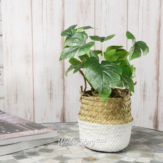 Искусственное растение в горшке Монстера Brunno 26 см Kaemingk